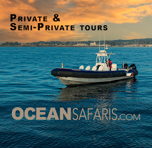 Santa Cruz Port District - Santa Cruz, California campground