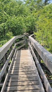 Backbone Rock Campground - Shady Valley, Tennessee