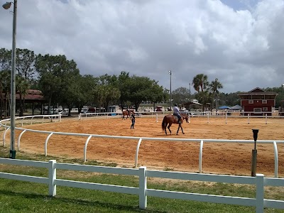 Clarcona Horse Park - Apopka, Florida campground
