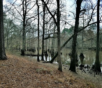 Burnside Lake Water Park - Philadelphia, Mississippi campground