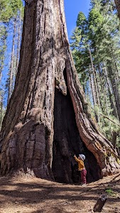Nelder Grove - Oakhurst, California campground