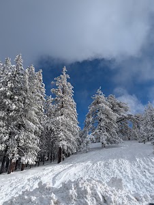 Mt Pinos - Frazier Park, California campground