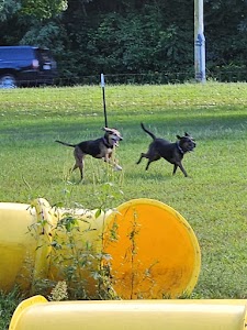 Jamison Town Park - Poynette, Wisconsin campground