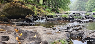 LaVerne County Park - Coquille, Oregon campground