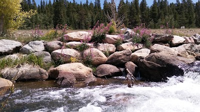 Blue River - Silverthorne, Colorado campground