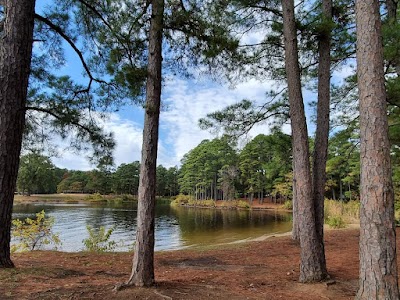 Overlook Park - Lake Cypress Springs - Mt Vernon, Texas campground