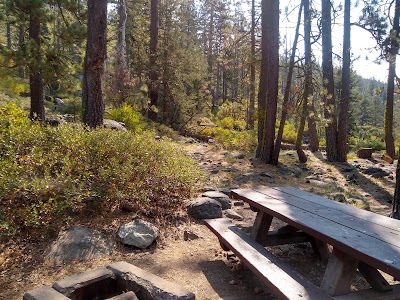 Salmon Creek - Calpine, California campground