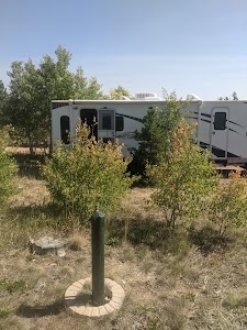 Yellow Pine - Laramie, Wyoming