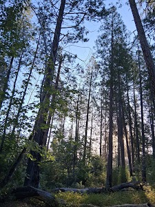 Lost Claim - Groveland, California campground