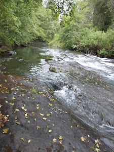 Illahe - Agness, Oregon campground