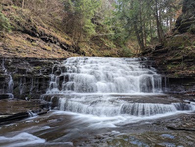 Salt Springs State Park - Montrose, Pennsylvania campground