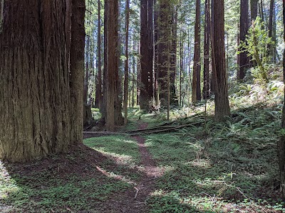 Navarro River Redwoods State Park - Elk, California campground