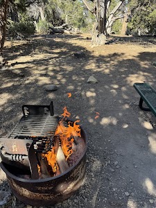 North Rim Campground - Crawford, Colorado campground