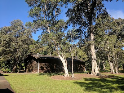 Kalopa State Rec Area - Hawaii - Honokaa, Hawaii campground