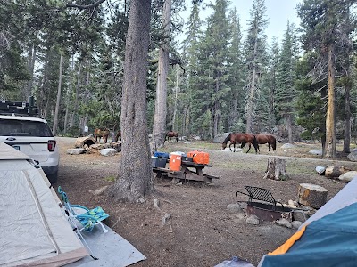 Pacific Valley - Arnold, California campground