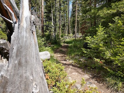 Whitehouse - Basin, Montana campground