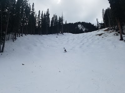 Twining - Taos Ski Valley, New Mexico campground