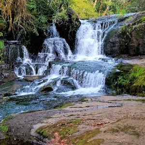 Alsea Falls - Monroe, Oregon campground