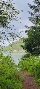 Marten Creek - Trout Creek, Montana campground