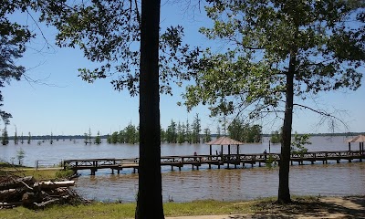 Cottonshed Landing - Millwood Lake - Mineral Springs, Arkansas campground