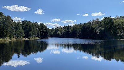 Brendan Byrne State Forest - Woodland, New Jersey