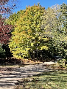 Garey Lake Trail Camp - State Forest - Empire, Michigan campground