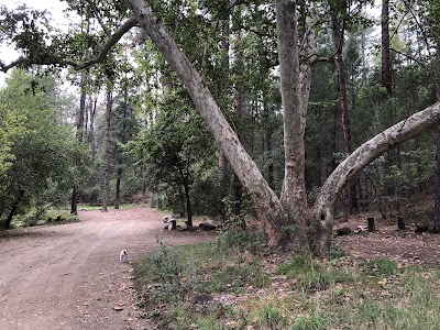Rose Creek - Young, Arizona campground