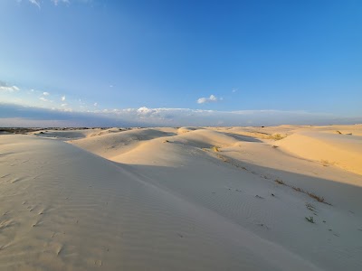 Monahans Sandhills State Park - Monahans, Texas campground