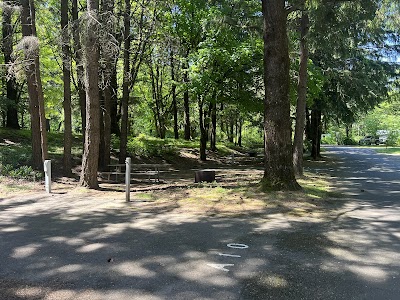 Viento State Park - Cascade Locks, Oregon campground