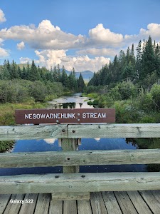 Nesowadnehunk Field Campground - Millinocket, Maine