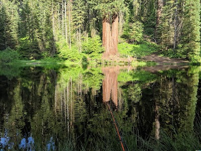 Hedrick Pond - State Forest - Springville, California campground