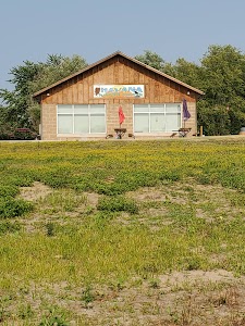 Riverfront Park Campground - Havana, Illinois campground