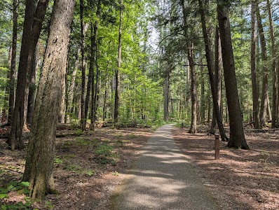 Hartwick Pines State Park - Grayling, Michigan campground