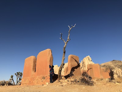 Ryan - Joshua Tree National Park - Twentynine Palms, California campground