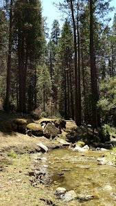 White River - Posey, California campground
