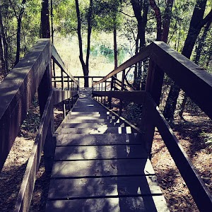 Mutual Mine Campground - Inverness, Florida campground
