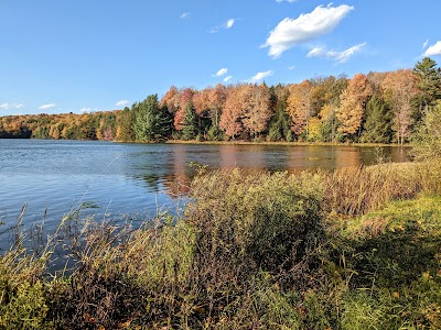Hills Creek State Park - Wellsboro, Pennsylvania campground