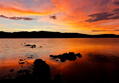 Alamo Lake State Park - Wenden, Arizona