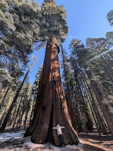 Canyon View - Sequoia and Kings Canyon National Park campground