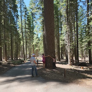 Running Deer - Strawberry Valley, California campground