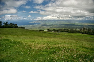 Polipoli Spring State Rec Area - Maui - Kula, Hawaii campground