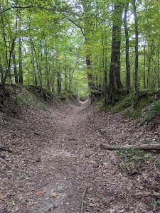 Village Creek State Park - Wynne, Arkansas campground