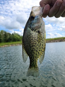 Twin Ponds Co Park  - West - Ionia, Iowa campground