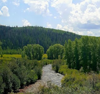Himes Peak campground