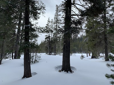Yuba Pass - Calpine, California campground