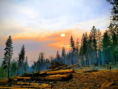 Calso - Boggs Mountain Demo Forest - Middletown, California campground