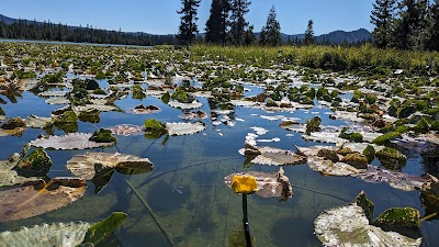 Mallard Marsh Campground - Bend, Oregon campground