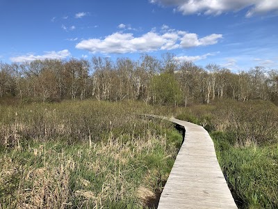 Windmill Hill - White Memorial - Litchfield, Connecticut