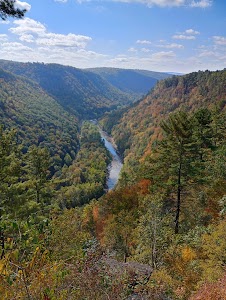 Colton Point State Park - Wellsboro, Pennsylvania campground