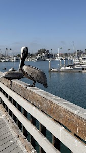 Del Mar Beach Military - Oceanside, California campground